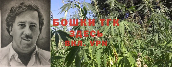 ешки Алзамай