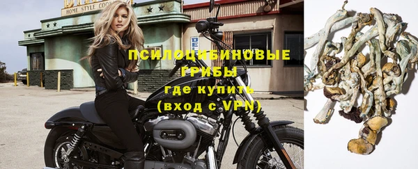 мет Осинники